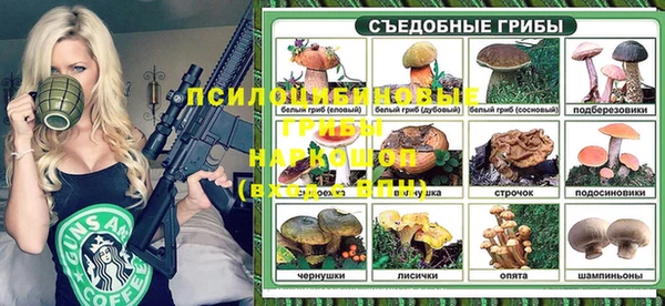 прущие грибы Богородск