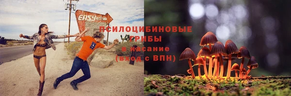 jwh Богданович