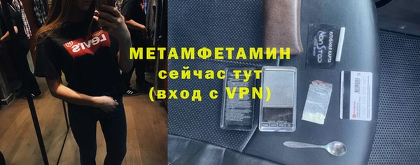 прущие грибы Богородск
